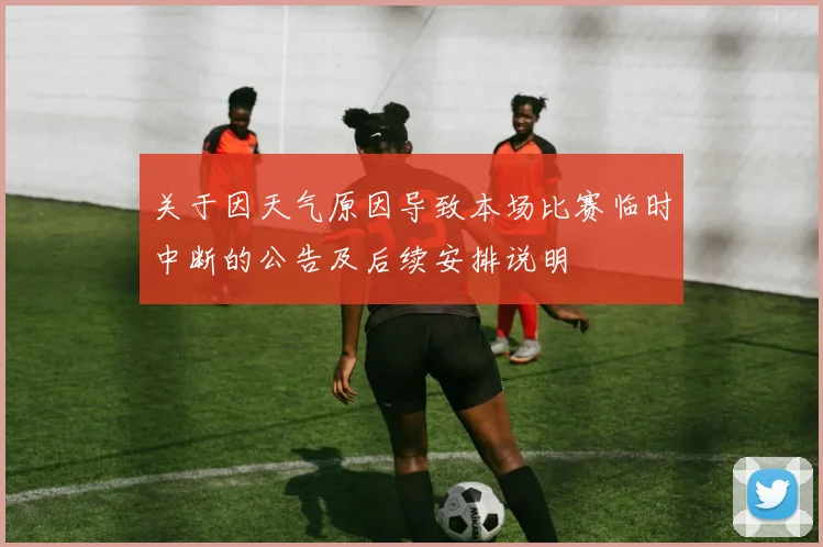 关于因天气原因导致本场比赛临时中断的公告及后续安排说明