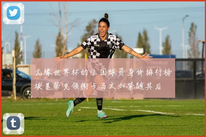无缘世界杯的法国球员身价排行榜埃基蒂克领衔卡马文加紧随其后